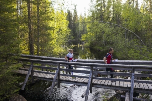 Kainuu Orienteering Week 2021_terrain