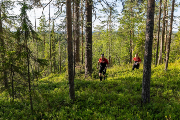 Kainuun-Rastiviikko-2026-suunnistusviikko-Kainuu-Orienteering-Week-Säynäjä-Suomussalmi-Finland-suunnistusmaasto-maasto-terrain-1-600-px.png