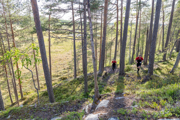 Kainuun-Rastiviikko-2026-suunnistusviikko-Kainuu-Orienteering-Week-Säynäjä-Suomussalmi-Finland-suunnistusmaasto-maasto-terrain-5-600-px.png