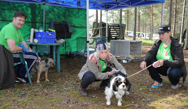 Kainuun-Rastiviikko-2026-suunnistusviikko-Kainuu-Orienteering-Week-Säynäjä-Suomussalmi-Finland-Koiraparkki-Dogs-Day-Care-A-Dog-Park-600-px.png